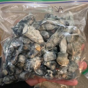 Buy Blue Meanie Magic Mushrooms