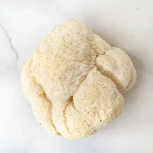 Lion’s Mane Mushroom