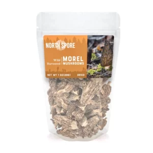 Morel mushroom price