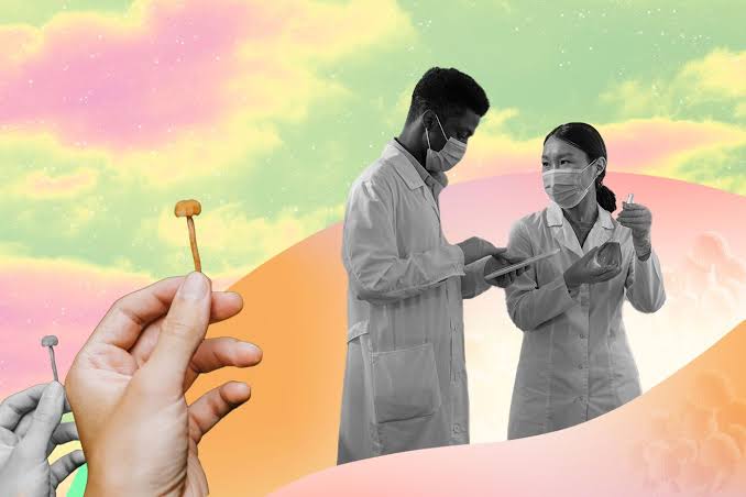 psychedelic research in the United States